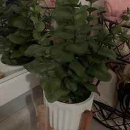 faux  plant on stand for my bathroom