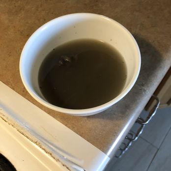 Stanley Steemer - The rinse water from my Kirby after Stanley Steamer of Springdale supposedly sanitized and cleaned my hall and a small bedroom. - Carpet Cleaning Near Me - Springdale, Arkansas Stanley Steemer - The rinse water from my Kirby after Stanley Steamer of Springdale supposedly sanitized and cleaned my hall and a small bedroom. - Carpet Cleaning Near Me - Springdale, Arkansas