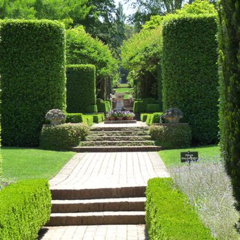 Livescapes - a pathway in a formal garden - Landscaping Near Me - Miami, Florida Livescapes - a pathway in a formal garden - Landscaping Near Me - Miami, Florida
