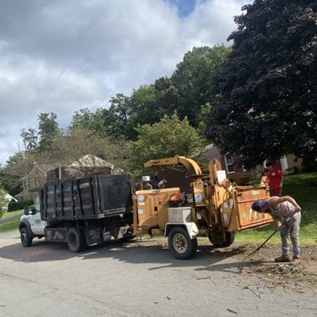 Aventura Tree Services - Hard work done - Tree Services Near Me - Gaithersburg, Maryland