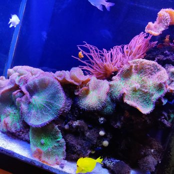 Loggerhead Marinelife Center - Community Service/Non-Profit Near Me - Juno Beach, Florida