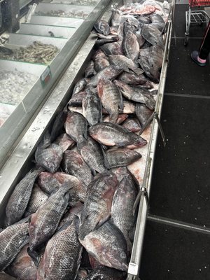 Dat Moi Market by null