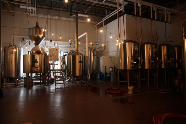 Whitetooth Brewing Company by null