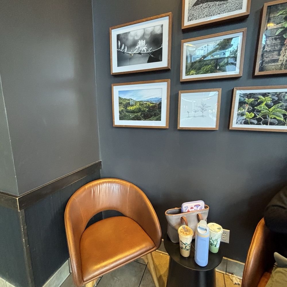 Starbucks - Seating - Coffee & Tea Near Me - St. Petersburg, Florida Starbucks - Seating - Coffee & Tea Near Me - St. Petersburg, Florida