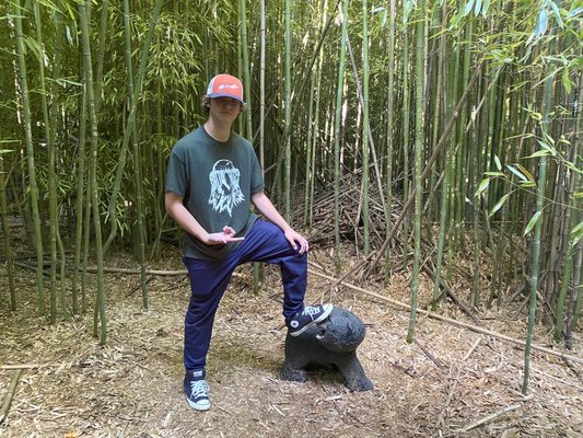 Fantastic Umbrella Factory by null