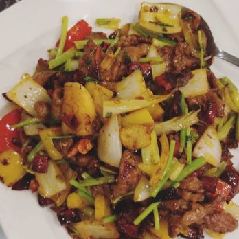 Szechuan House - Cumin lamb was my favorite of what we ordered - Szechuan Near Me - Flushing, New York