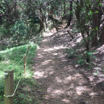 Kolekole Pass Road - The start of the trail - Local Flavor Near Me