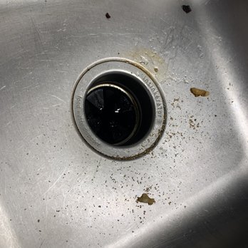 Bull Chicks - Had to shake that salt off in the sink.. salt clogged my sink, like those fries clogged my arteries - Burgers Near Me - Baton Rouge, Louisiana