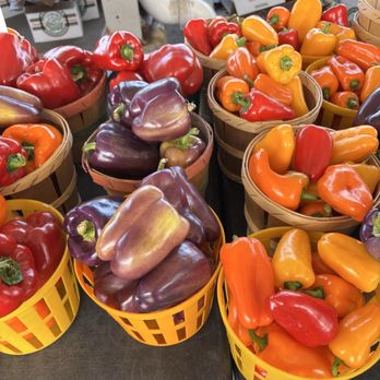 Rochester Public Market - Public Markets Near Me - Rochester, New York Rochester Public Market - Public Markets Near Me - Rochester, New York