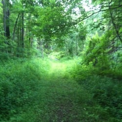 Newgate Wildlife Management Area