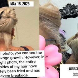 BH Hair Studio - Previous damage caused by Michelle's bleaching methods that were reviving and growing, to now have no underside hair. Fried and damaged.