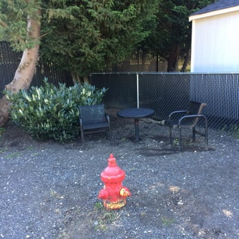 Kelly Latte's - Nice little sitting area - Coffee & Tea Near Me - Kent, Washington Kelly Latte's - Nice little sitting area - Coffee & Tea Near Me - Kent, Washington