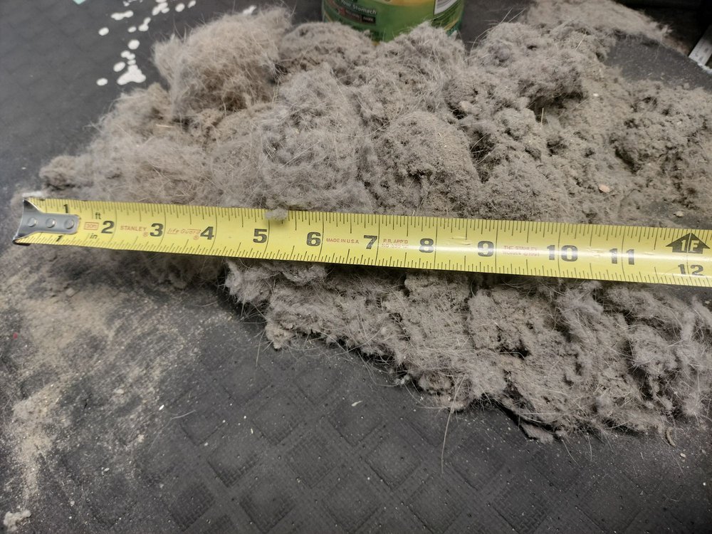 ALPHA OMEGA CARPET CARE Updated October 2024 13 Photos & 63 Reviews