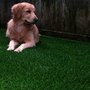 Photo of Water Wise Grass Artificial Turf