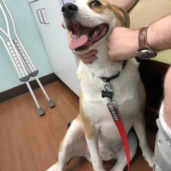 Oak Tree Veterinary Hospital 16 Photos 44 Reviews Veterinarians 1808 S Taylor Rd Cleveland Heights Oh Phone Number Yelp