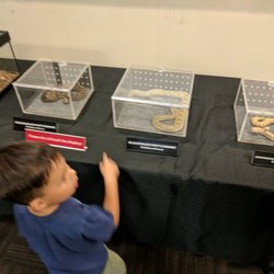 Environmental Education Center - Replies class through city of Chandler. those are all rattlesnakes