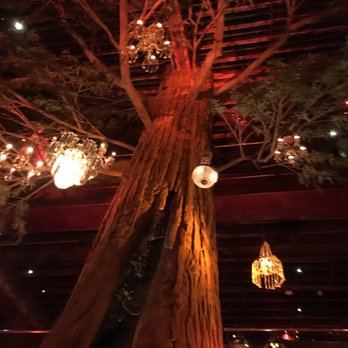 Clifton's Republic - Amazing tree inside on the first floor! - Bars Near Me - Los Angeles, California Clifton's Republic - Amazing tree inside on the first floor! - Bars Near Me - Los Angeles, California