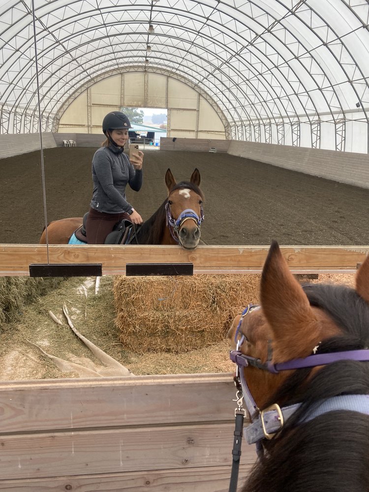 Valley View Equestrian Logo