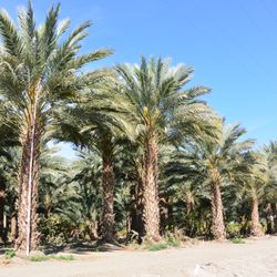 The Landscape Center
