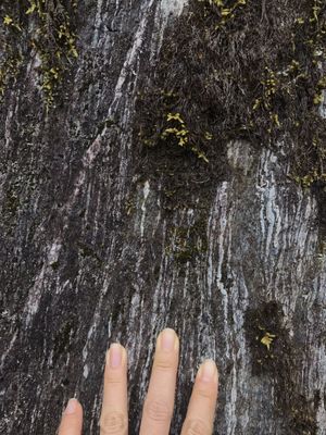 Franz Josef Glacier Guides by null