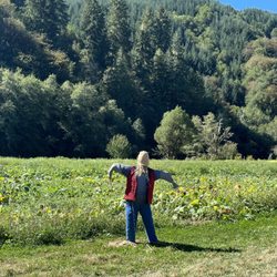 Mahaffy Ranch - A welcoming scarecrow!