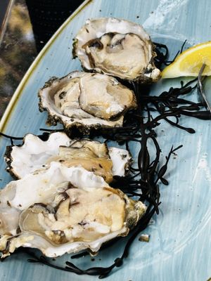 230 Forest Avenue by null