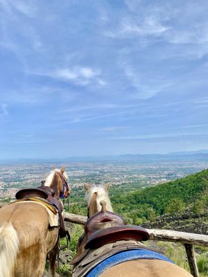 Vesuvius National Park by null