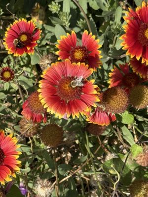 River Valley Ranch & Kitchens by null