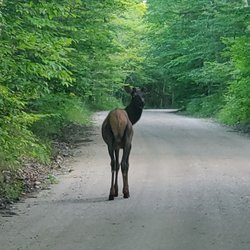 Run The Woods Outfitters