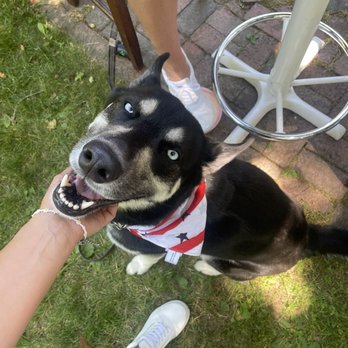 Merriland Farm Cafe - Pet friendly patio - Breakfast & Brunch Near Me - Wells, Maine