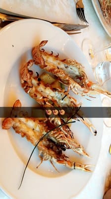 Hotel Italia Palace by null