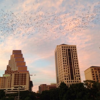 Capital Cruises - Bats - Boat Charters Near Me - Austin, Texas