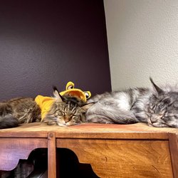 Edgewood Animal Clinic - Argus & Solstice