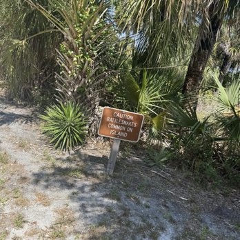 Caladesi Island State Park - Parks Near Me - Dunedin, Florida