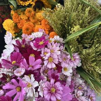 Asteria Florals - Beautiful options for the flower arranging class - Florists Near Me - Sacramento, California Asteria Florals - Beautiful options for the flower arranging class - Florists Near Me - Sacramento, California