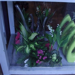 La Floratheque - Vitrine