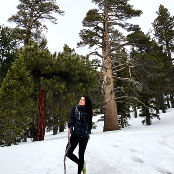 Mount San Jacinto State Park - Parks Near Me - Idyllwild, California