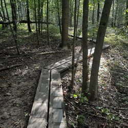 Davidson's Mill Pond Park - Wooden bridge