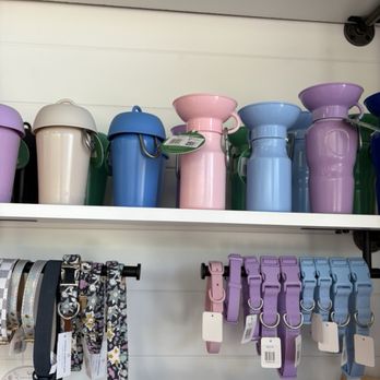 Pixie Sticks Dog Boutique - Pet Groomers Near Me - Gilbert, Arizona