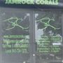 Photo of Jamrock Corals