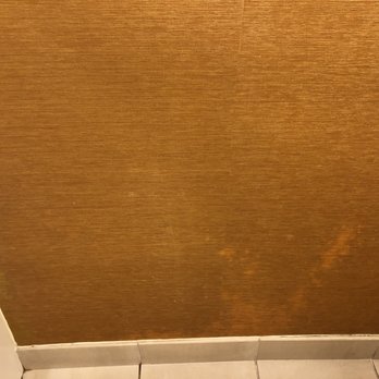 Fairfield by Marriott Inn & Suites Orlando Ocoee - Stained wall covering - Hotels Near Me - Ocoee, Florida