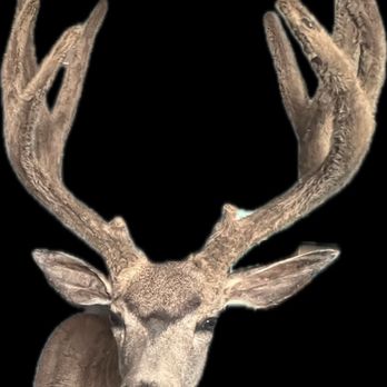 Bob's Taxidermy - Picture of my mouth - Taxidermy Near Me - Layton, Utah Bob's Taxidermy - Picture of my mouth - Taxidermy Near Me - Layton, Utah