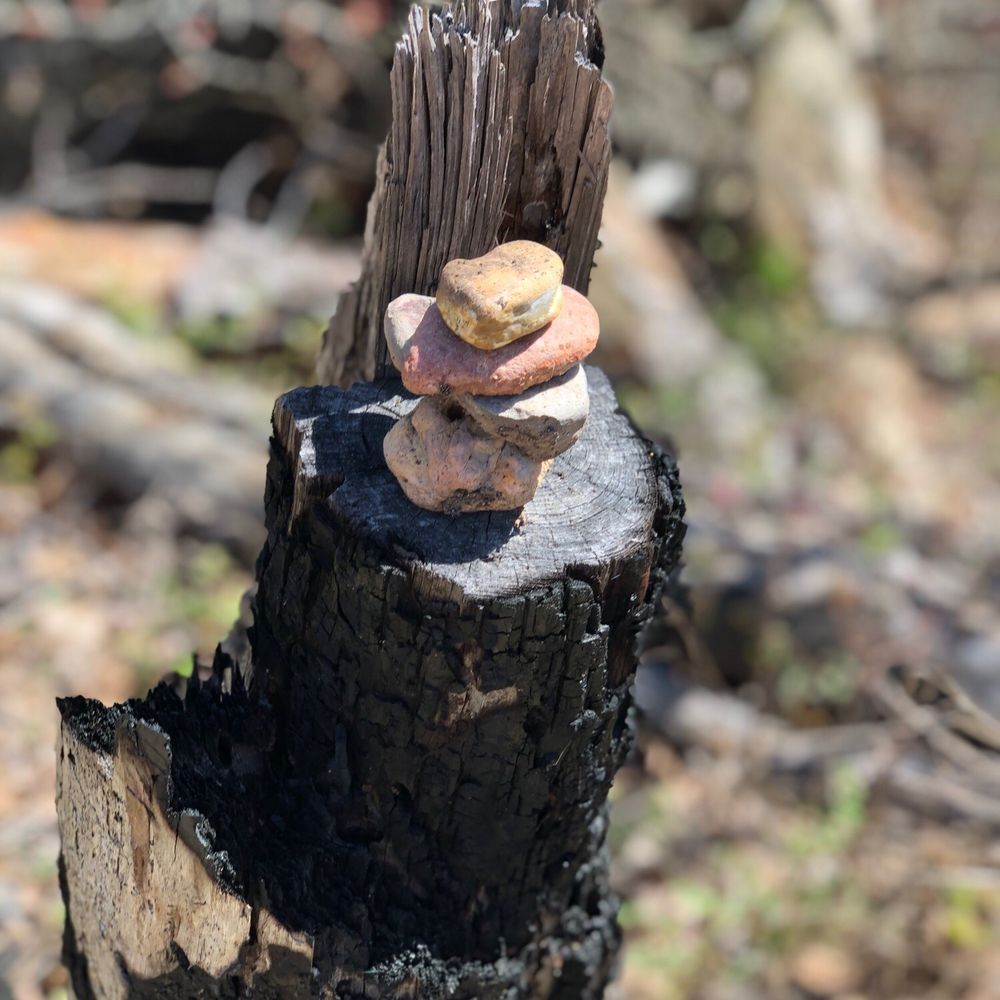 Bastrop State Park - Rock markers to find your way through the trails. You will see lots of them, so we made our own. - Parks Near Me - Bastrop, Texas