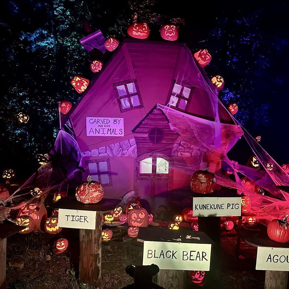 Jack-O-Lantern Spectacular - Zoos Near Me - Apple Valley, Minnesota Jack-O-Lantern Spectacular - Zoos Near Me - Apple Valley, Minnesota