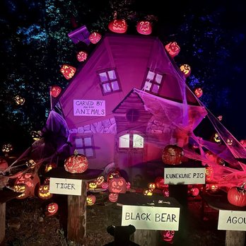 Jack-O-Lantern Spectacular - Zoos Near Me - Apple Valley, Minnesota