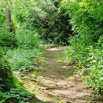 Carillon Woods - Parks Near Me - Kirkland, Washington