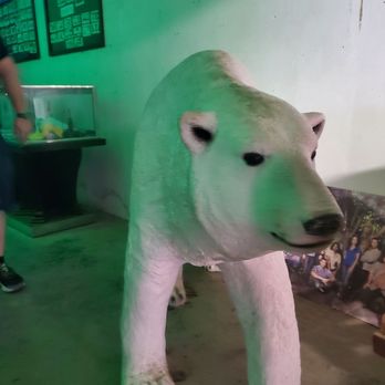 Kualoa Ranch - "Lost" polar bear - Tours Near Me - Kaneohe, Hawaii