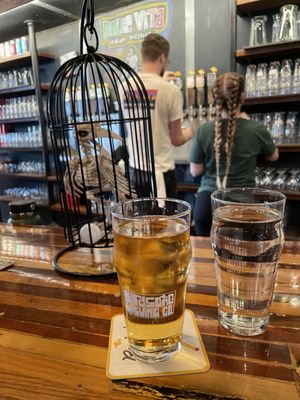 Birdsong Brewing Co. by null