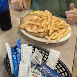 Illinois Riverdock Restaurant - Pork tenderloin with fries