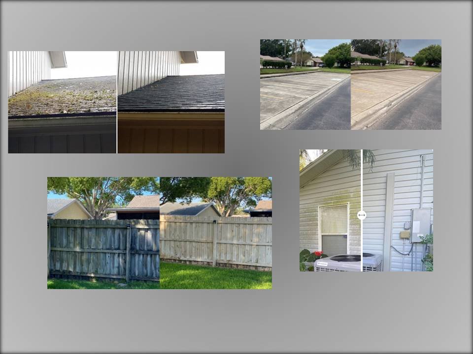 Slide of Apex Softwash